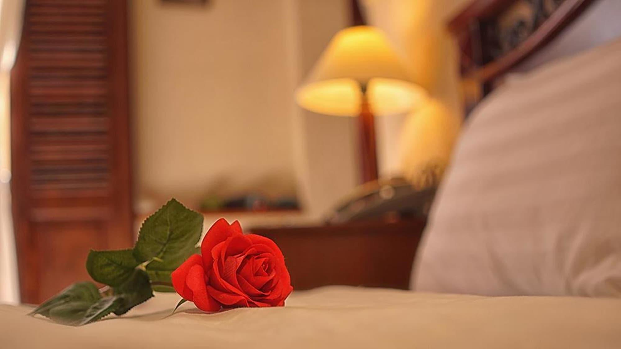 Cam Ly Boutique Apartment & Hotel Ho Chi Minh Zewnętrze zdjęcie
