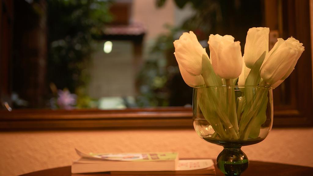 Cam Ly Boutique Apartment & Hotel Ho Chi Minh Zewnętrze zdjęcie