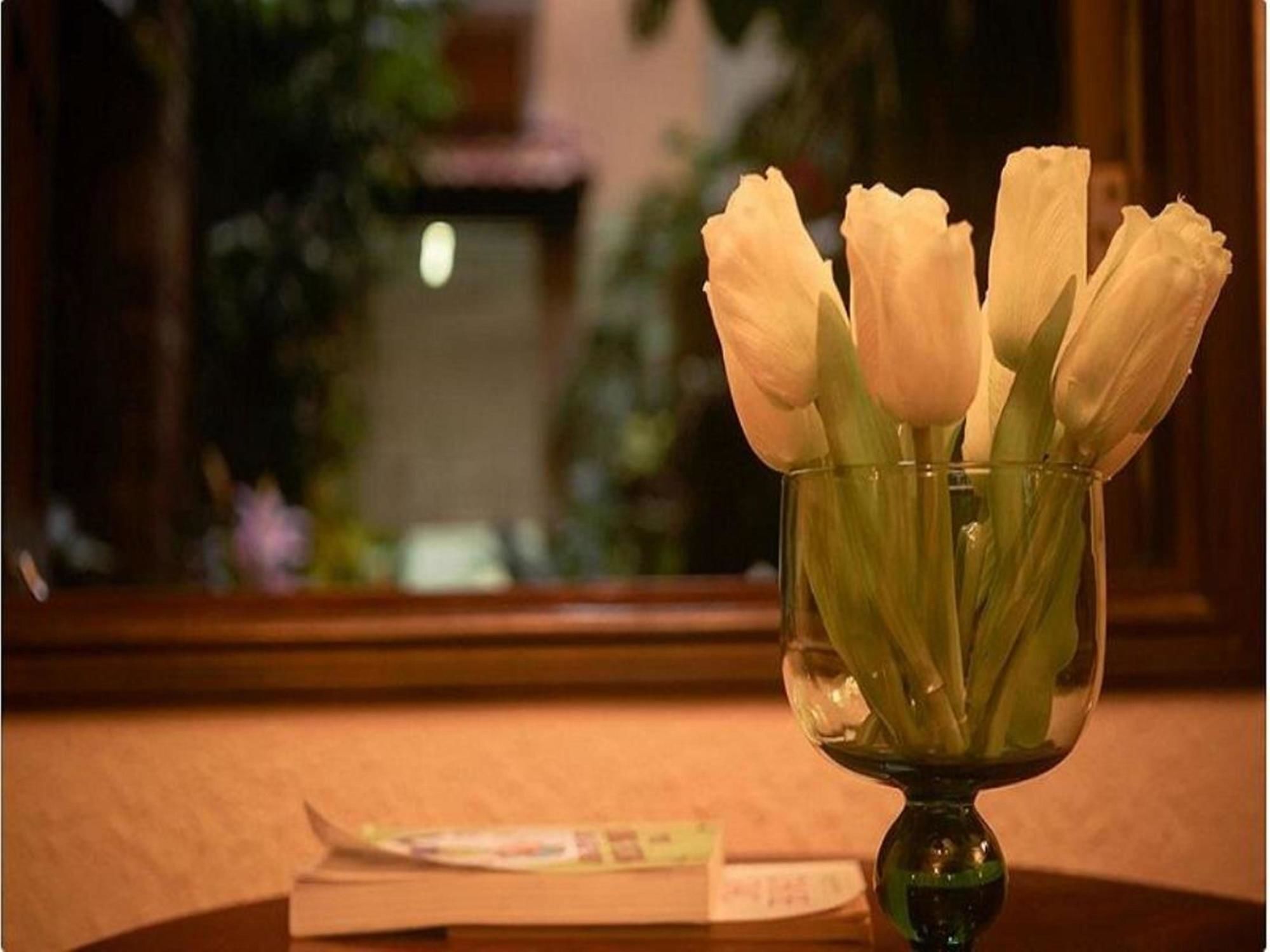 Cam Ly Boutique Apartment & Hotel Ho Chi Minh Zewnętrze zdjęcie